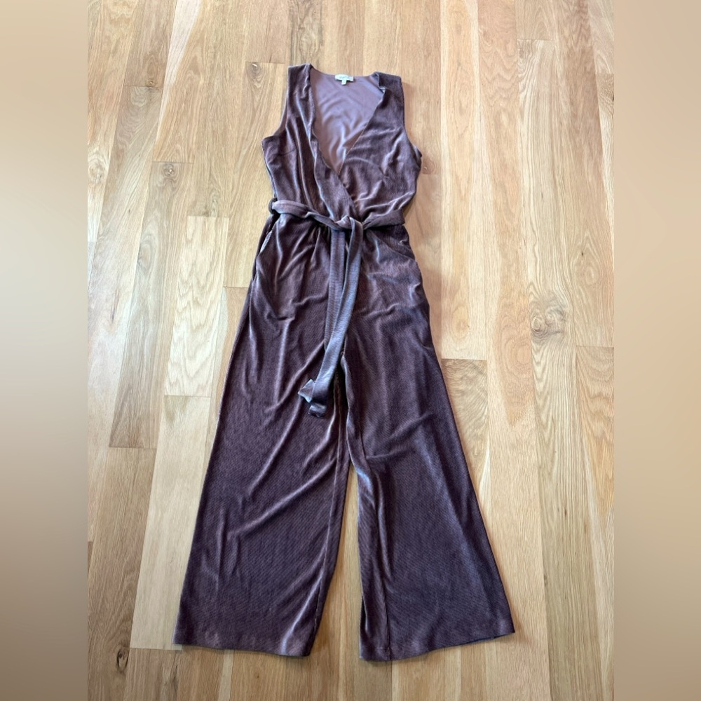 Mystree velvet jumpsuit size Small only worn once so cute on!